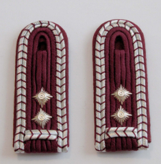 Schulterst�cke FFW Sachsen-Anhalt Oberl�schmeister/in